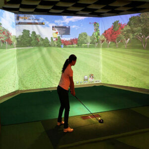Golf Ball Impact Simulator Projection Screen Training Indoor Entertainment Tools
